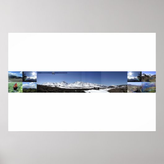 uitzichten van zoogdieren poster (Voorkant)