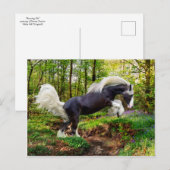 "Uitzien" Briefkaart (Voorkant / Achterkant)