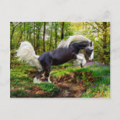 "Uitzien" Briefkaart (Voorkant)