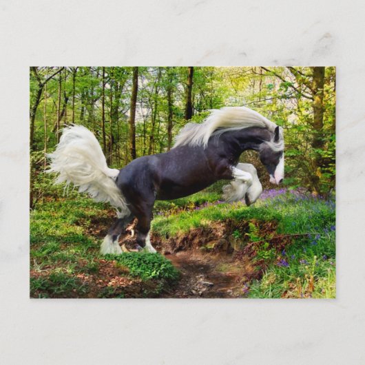 "Uitzien" Briefkaart (Voorkant)