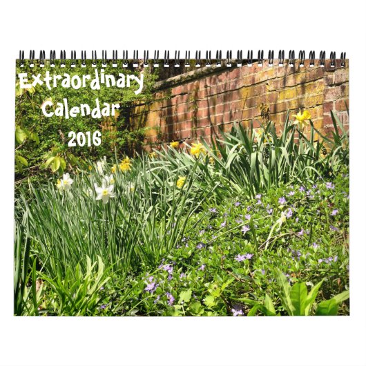 Uitzonderlijke-2016 kalender (Hoes)