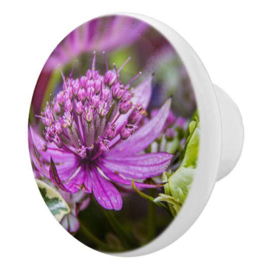 Uitzonderlijke magie van bloesems #1 keramische knop (Rechts)