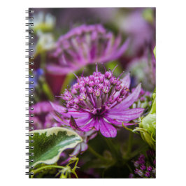 Uitzonderlijke magie van bloesems #1 notitieboek