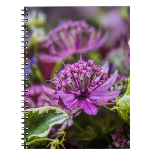 Uitzonderlijke magie van bloesems #1 notitieboek (Voorkant)