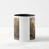 UK. Forest of Dean. Zonnestraal die een Mok (Midden)