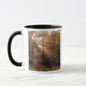 UK. Forest of Dean. Zonnestraal die een Mok (Links)