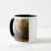 UK. Forest of Dean. Zonnestraal die een Mok (Voorkant links)