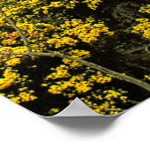 (UK) POSTER Brighton Pavillion (Hoek)