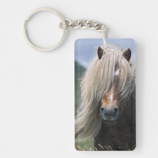 UK, Schotland, Shetland Islands, Shetland pony Sleutelhanger (Voorkant)