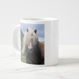 UK, Schotland, Shetlandeilanden, Shetlandpony Grote Koffiekop