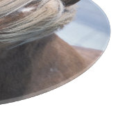 UK, Schotland, Shetlandeilanden, Shetlandpony Snijplank (Hoek)