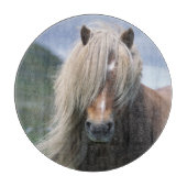 UK, Schotland, Shetlandeilanden, Shetlandpony Snijplank (Voorkant)