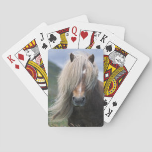 UK, Schotland, Shetlandeilanden, Shetlandpony Speelkaarten