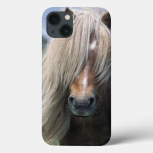 UK, Scotland, Shetland Islands, Shetland pony iPhone 13 Hoesje
