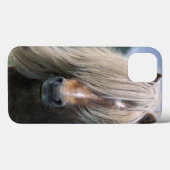 UK, Scotland, Shetland Islands, Shetland pony Case-Mate iPhone Case (Achterkant (horizontaal))