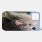 UK, Scotland, Shetland Islands, Shetland pony Case-Mate iPhone Case (Achterkant (horizontaal))