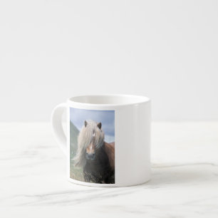 UK, Scotland, Shetland Islands, Shetland pony Espresso Kop