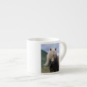 UK, Scotland, Shetland Islands, Shetland pony Espresso Kop (Voorkant rechts)