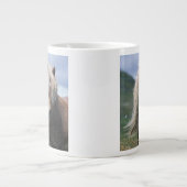 UK, Scotland, Shetland Islands, Shetland pony Grote Koffiekop (Voorkant)