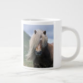 UK, Scotland, Shetland Islands, Shetland pony Grote Koffiekop (Rechts)