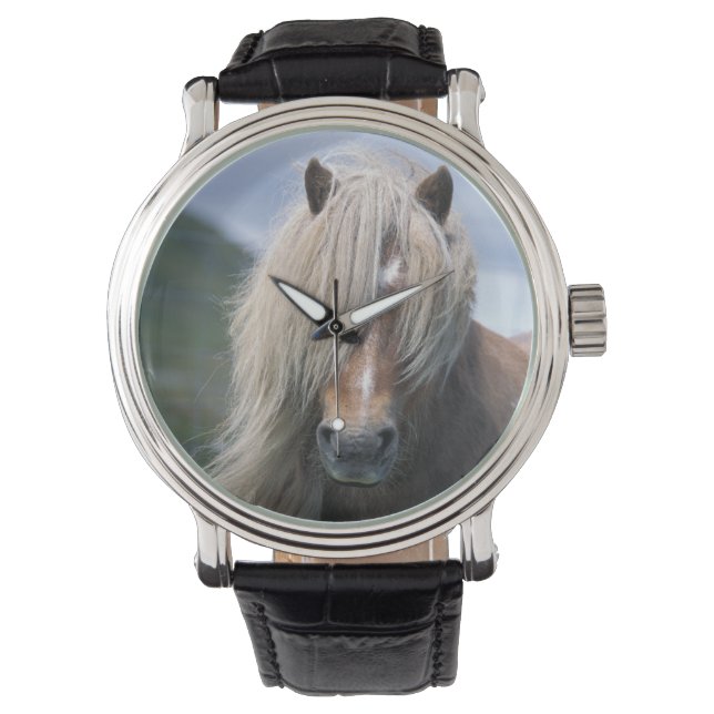 UK, Scotland, Shetland Islands, Shetland pony Horloge (Voorkant)