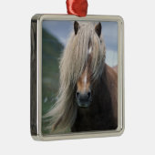 UK, Scotland, Shetland Islands, Shetland pony Metalen Ornament (Rechts)