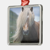 UK, Scotland, Shetland Islands, Shetland pony Metalen Ornament (Links)