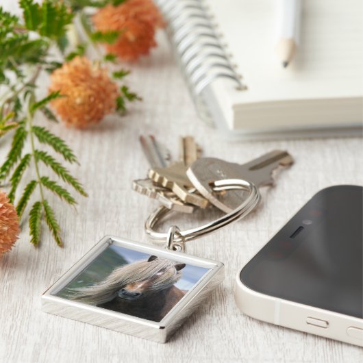 UK, Scotland, Shetland Islands, Shetland pony Sleutelhanger (Zijkant)