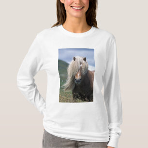 UK, Scotland, Shetland Islands, Shetland pony T-shirt