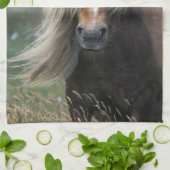 UK, Scotland, Shetland Islands, Shetland pony Theedoek (Gevouwen)