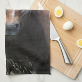 UK, Scotland, Shetland Islands, Shetland pony Theedoek (Quarter Fold)