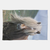 UK, Scotland, Shetland Islands, Shetland pony Theedoek (Horizontaal)