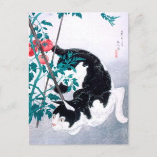 Ukiyoe [komei] 02 Kat met tomaat plant Briefkaart
