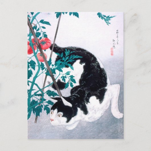 Ukiyoe [komei] 02 Kat met tomaat plant Briefkaart (Voorkant)