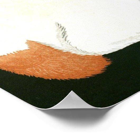 Ukiyoe [komei] 03 Witte kat Poster (Hoek)