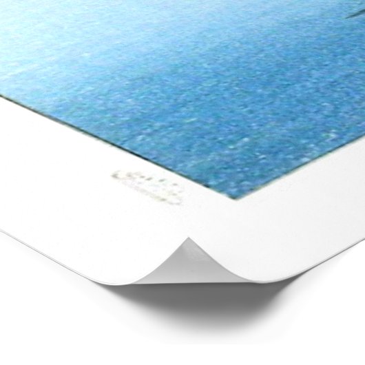 Ukiyoe [Koson] Fox door het Moonlit Water (M) Poster (Hoek)