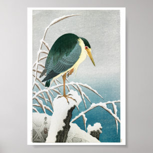 Ukiyoe [Koson] Zwarte Kroonnachtreiger …(XS) Poster