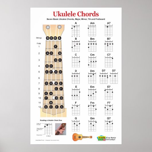 Ukulele Chord Chart en Fretboard Praktijk Poster (Voorkant)