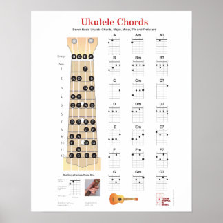 Ukulele Chords Finger Charts, Fretboard met notiti Poster
