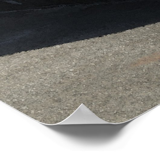 Ukulele Lady in Hawaii Poster (Hoek)