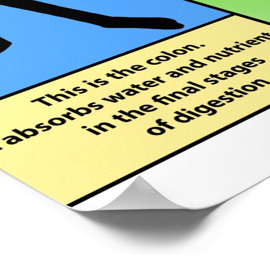 Ulceratief Colitis Poster (Hoek)