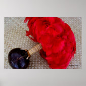 Uli Uli en Feathers Poster (Voorkant)