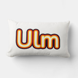 Ulm Deutschland Duitsland Kussen