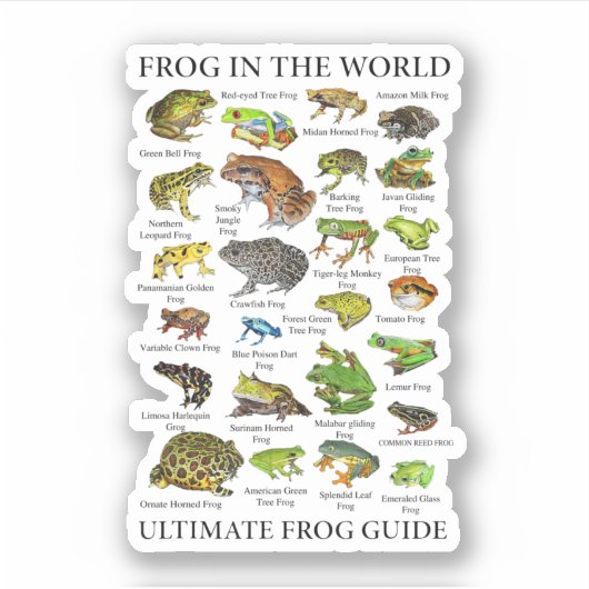 Ultieme kikkergids Funny Frog Lover Frog Eigenaar Sticker (Voorkant)