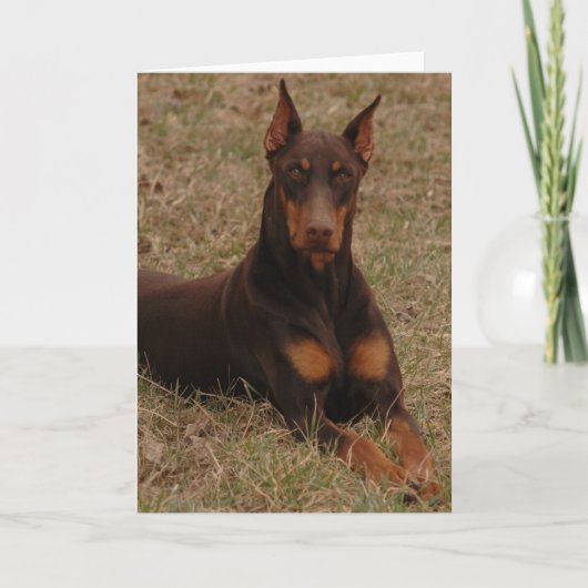 Ultieme waakhond kaart (Voorkant)