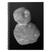 Ultima Thule Arrokoth Kuiper Belt Object Notitieboek (Voorkant)