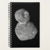 Ultima Thule Arrokoth Kuiper Belt Object Planner (Voorkant)