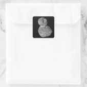 Ultima Thule Arrokoth Kuiper Belt Object Vierkante Sticker (Tas)