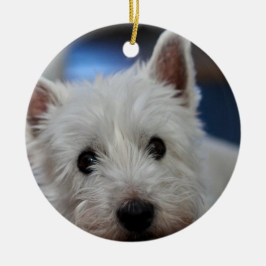 Ultra Cute Pestie Westie Terrier Keramisch Ornament (Voorkant)