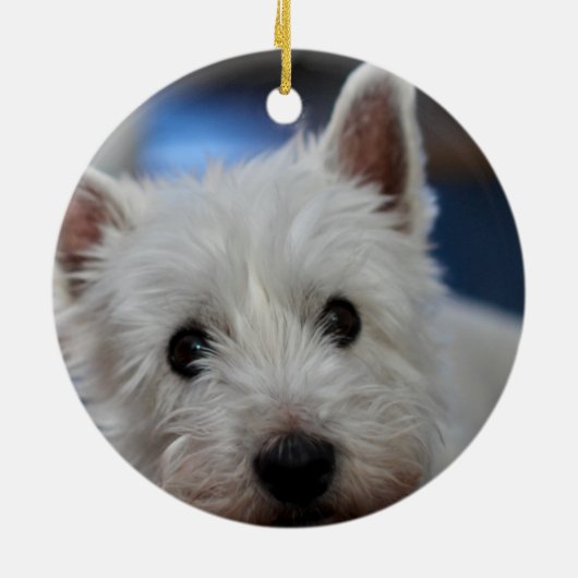 Ultra Cute Pestie Westie Terrier Keramisch Ornament (Achterkant)